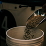 Member Sunday Motor Club Coffee Subscription