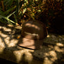 Walnut Hat