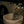 Early Member Coffee Subscription